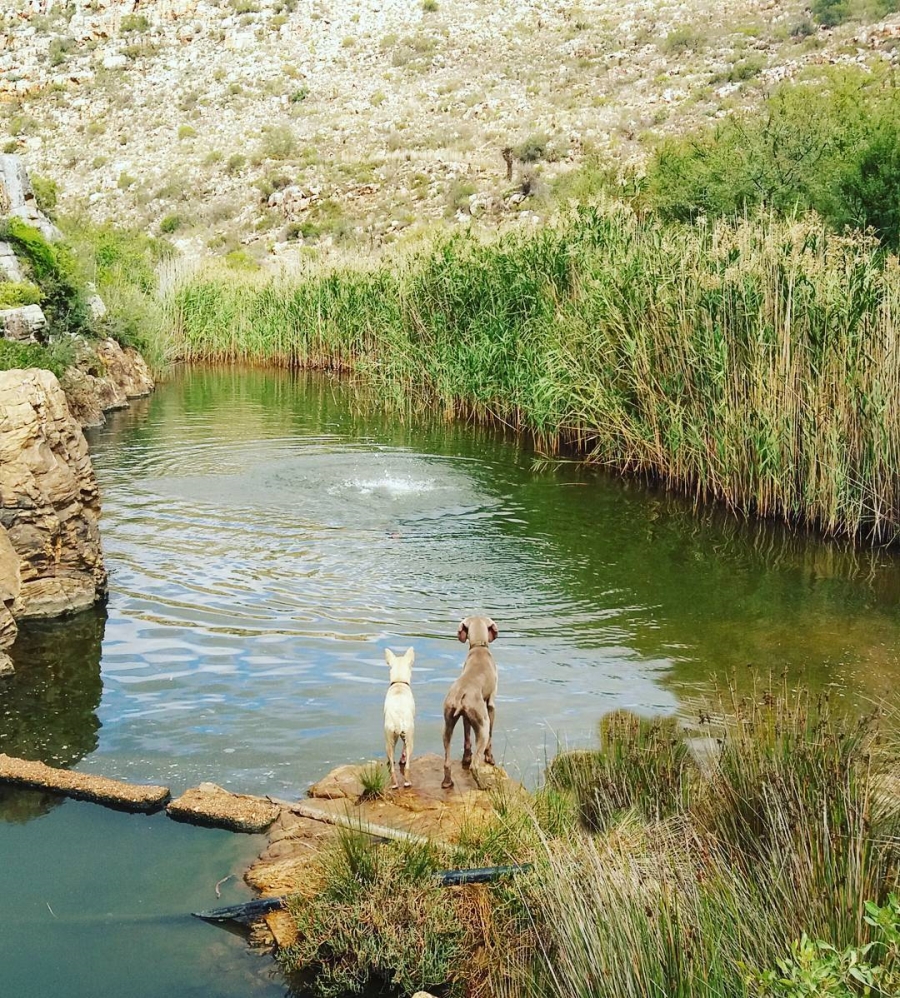2 Bedroom Property for Sale in Swellendam Rural Western Cape